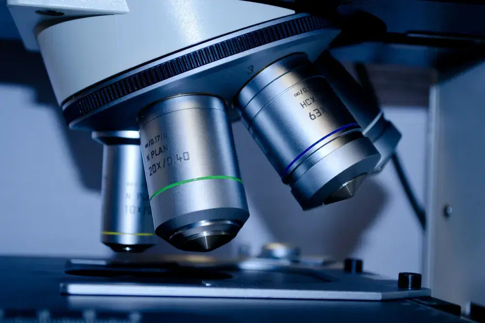 The artist at the microscope
