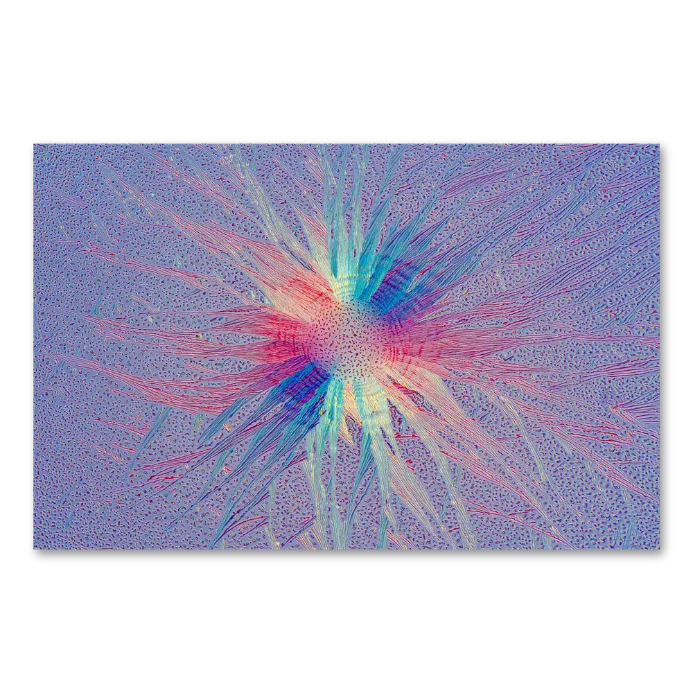 Vibrant microscopy art